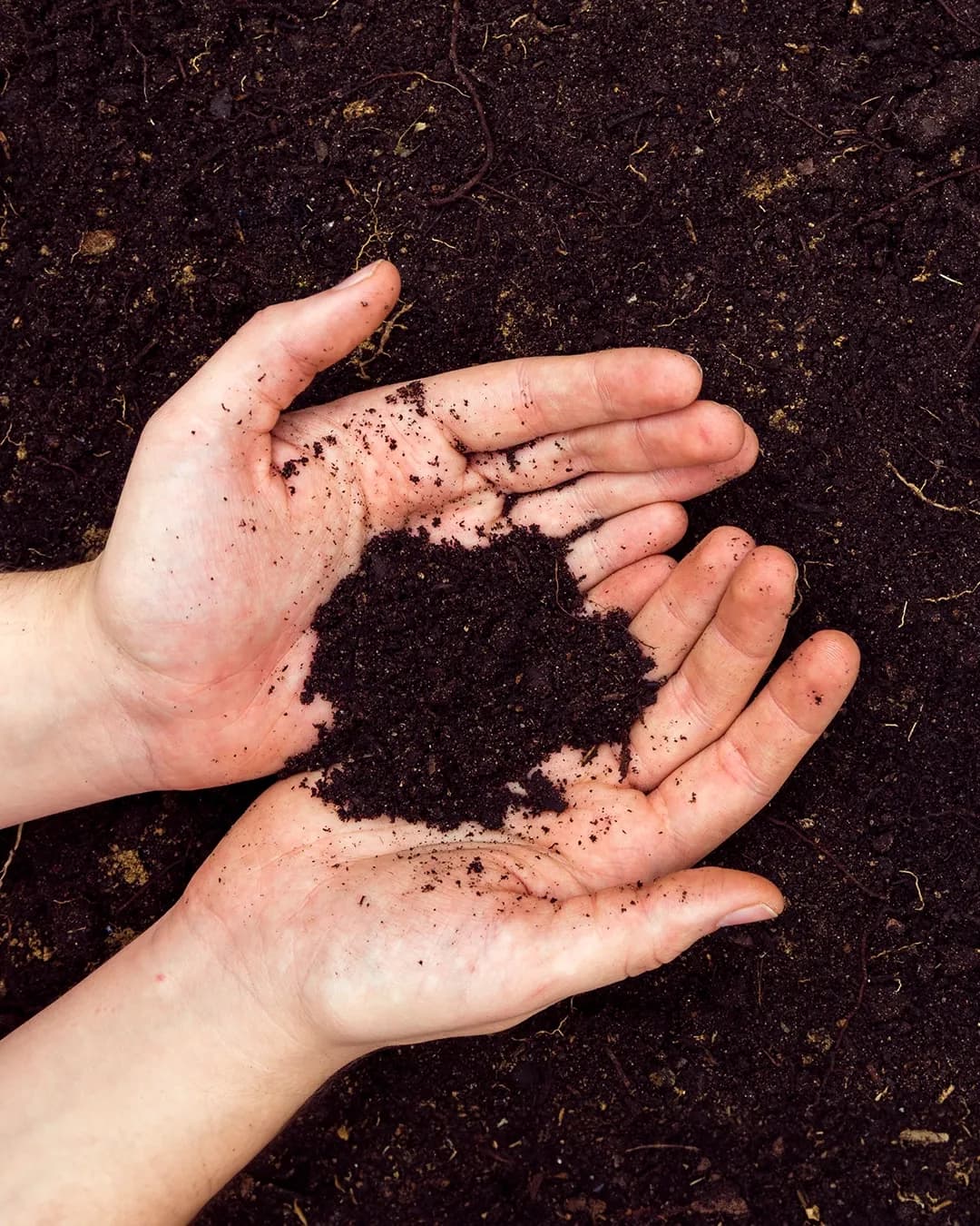 Agreena platform helping farmers earn carbon credits for regenerative agriculture