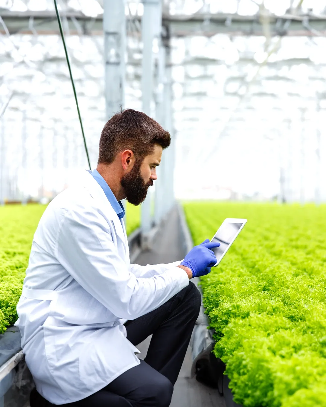 xFarm platform with app, sensors, and analytics for farming