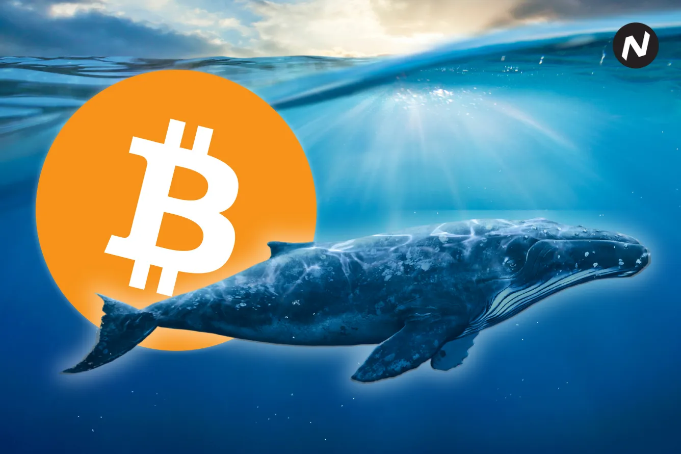 Dormant Bitcoin wallet from 2014 moves 687.33 BTC worth $44 million across two wallets.
