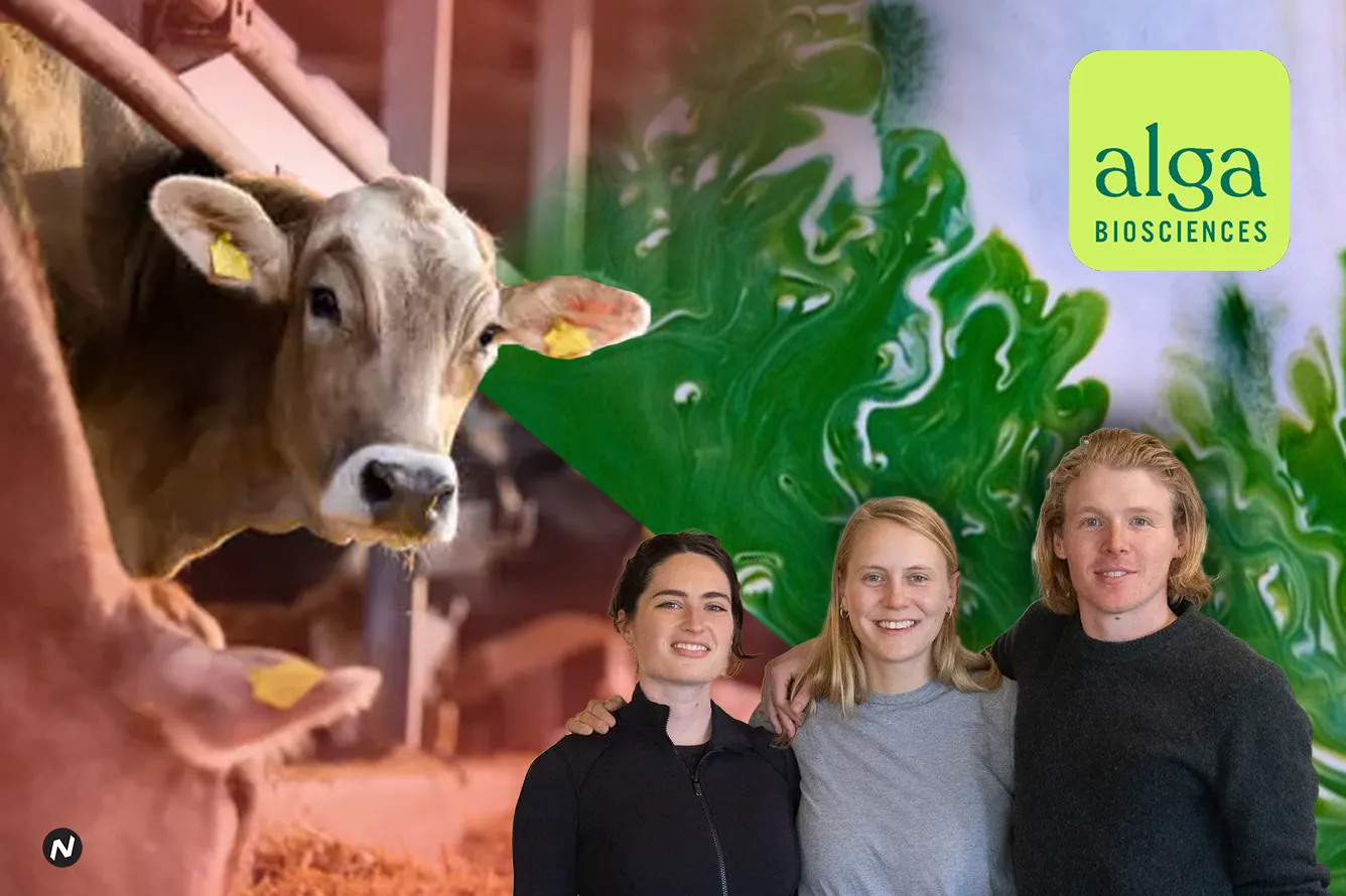 Alga Biosciences co-founders Alexander Brown, Caroline McKeon, and Daria Balatsky with their algae-based feed supplement to r