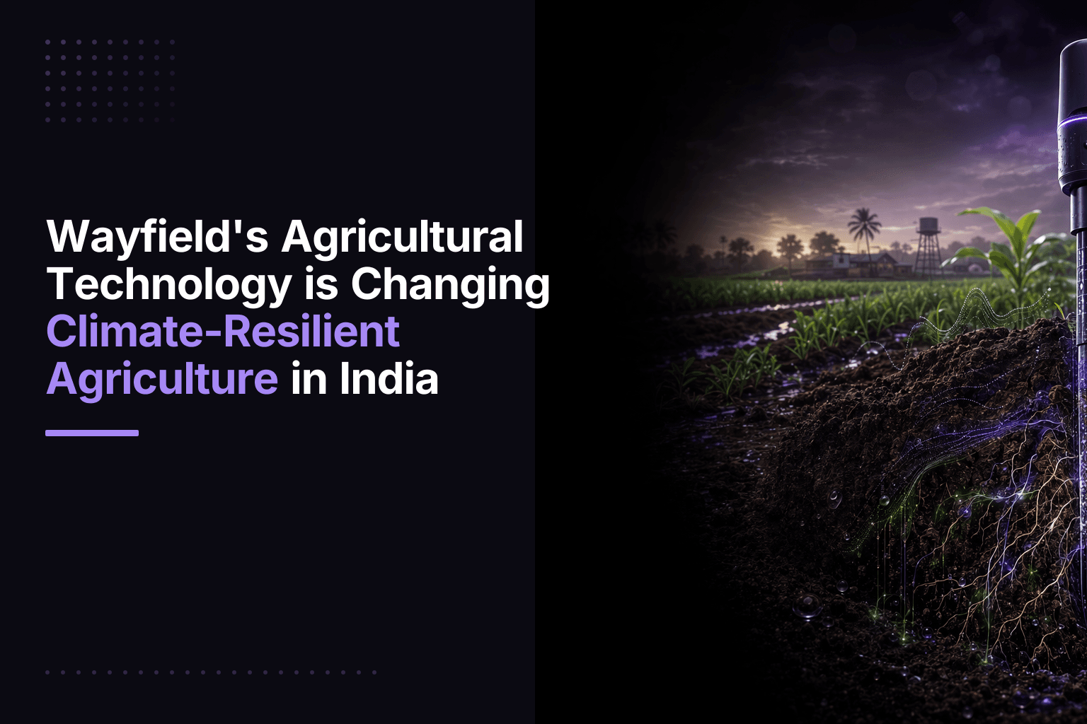 Wayfield Agricultural Technology supporting farmers with data analytics and AI