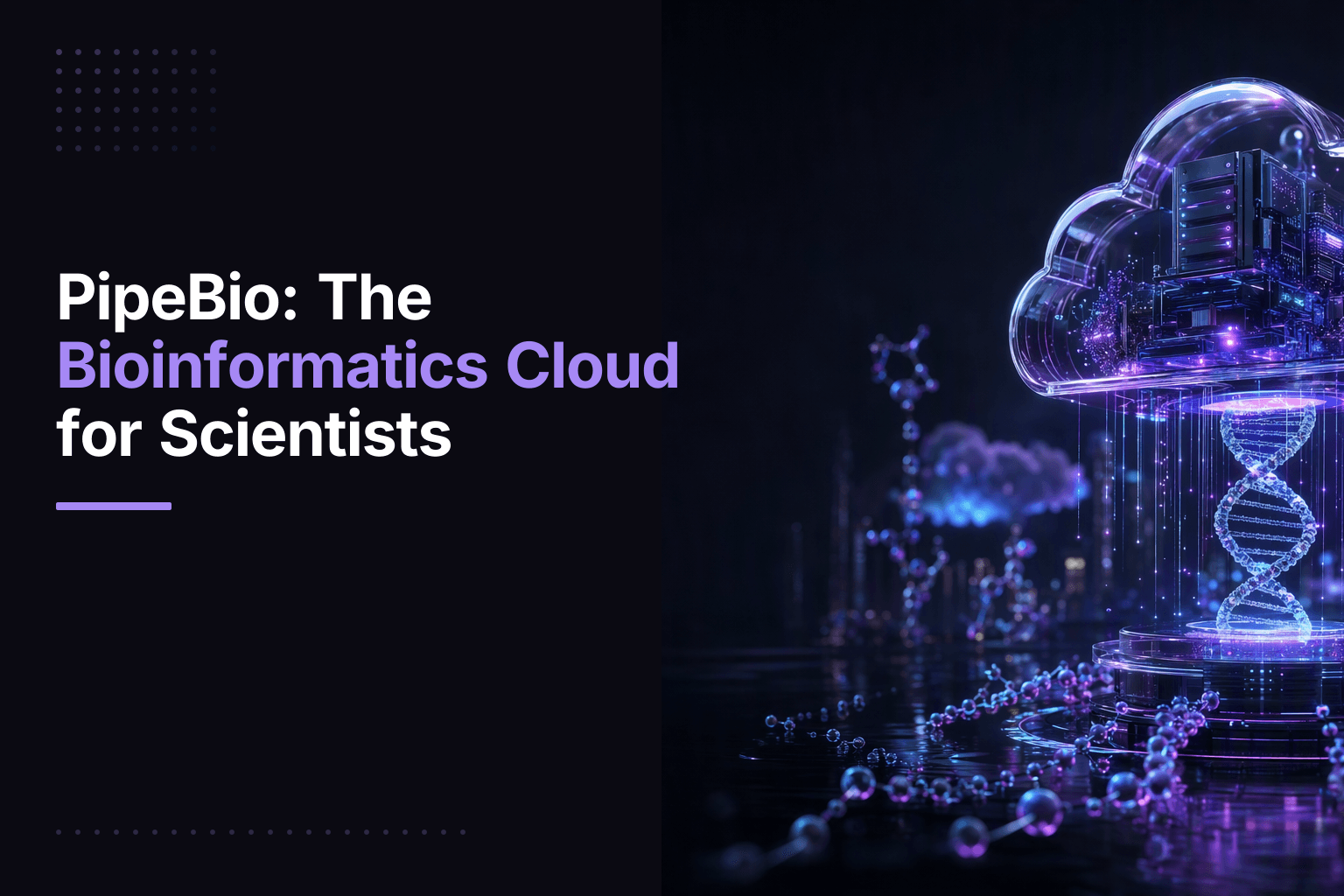 PipeBio cloud platform interface for antibody discovery and bioinformatics data analysis