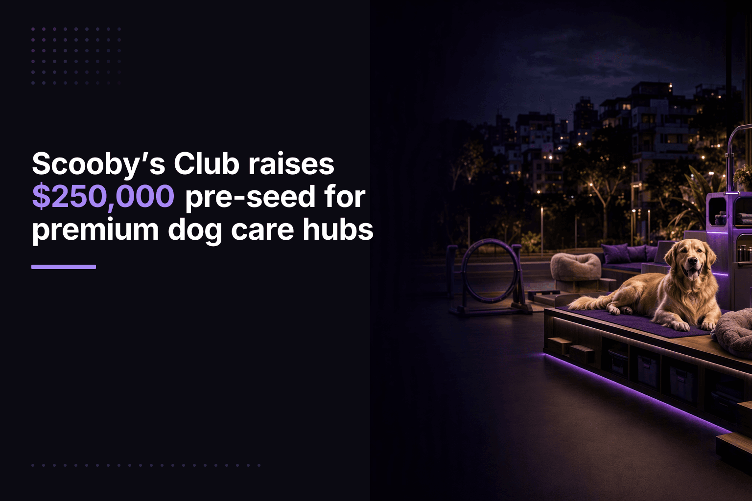 Scooby’s Club raises $250,000 pre-seed for premium dog care hubs