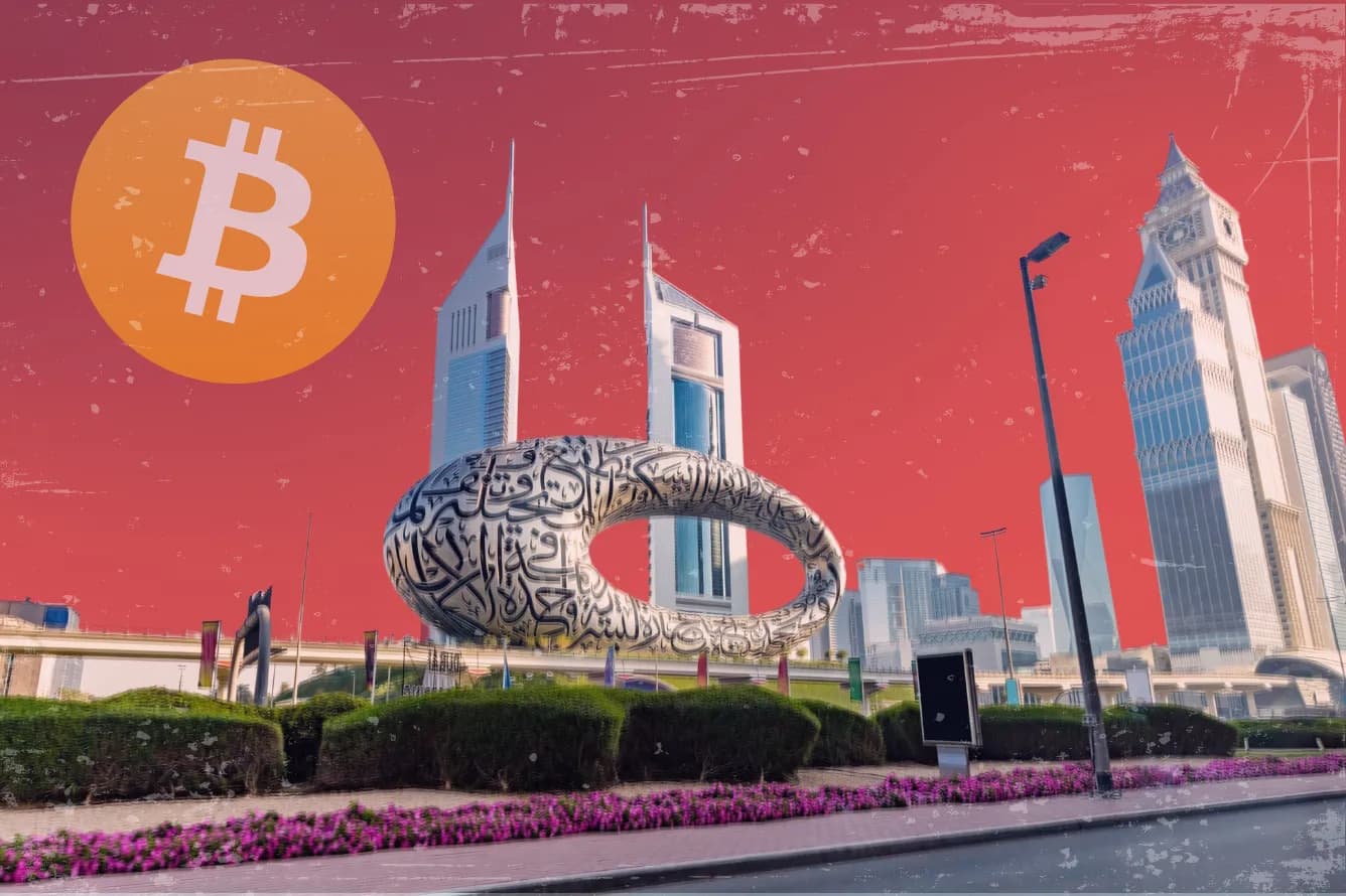 Map highlighting the United Arab Emirates with cryptocurrency-related icons, showing its lead in crypto adoption.