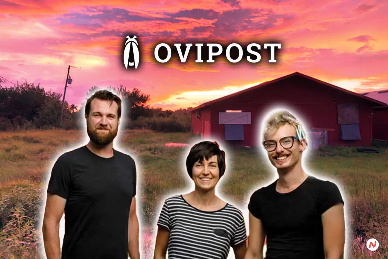 Ovipost founders converting organic waste into protein using insect farming for sustainable agriculture