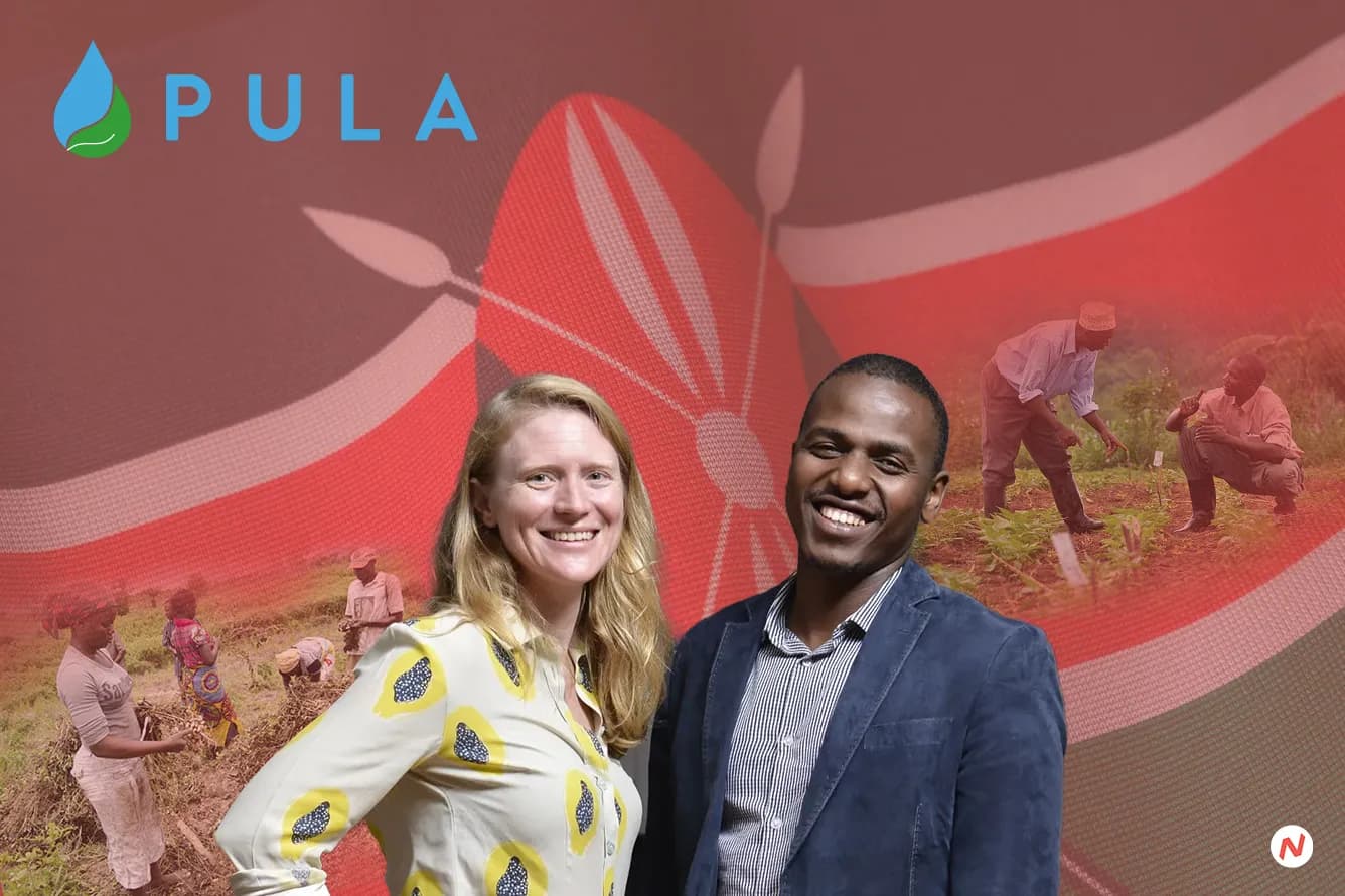 Pula, a Kenyan insurtech providing agricultural insurance to farmers