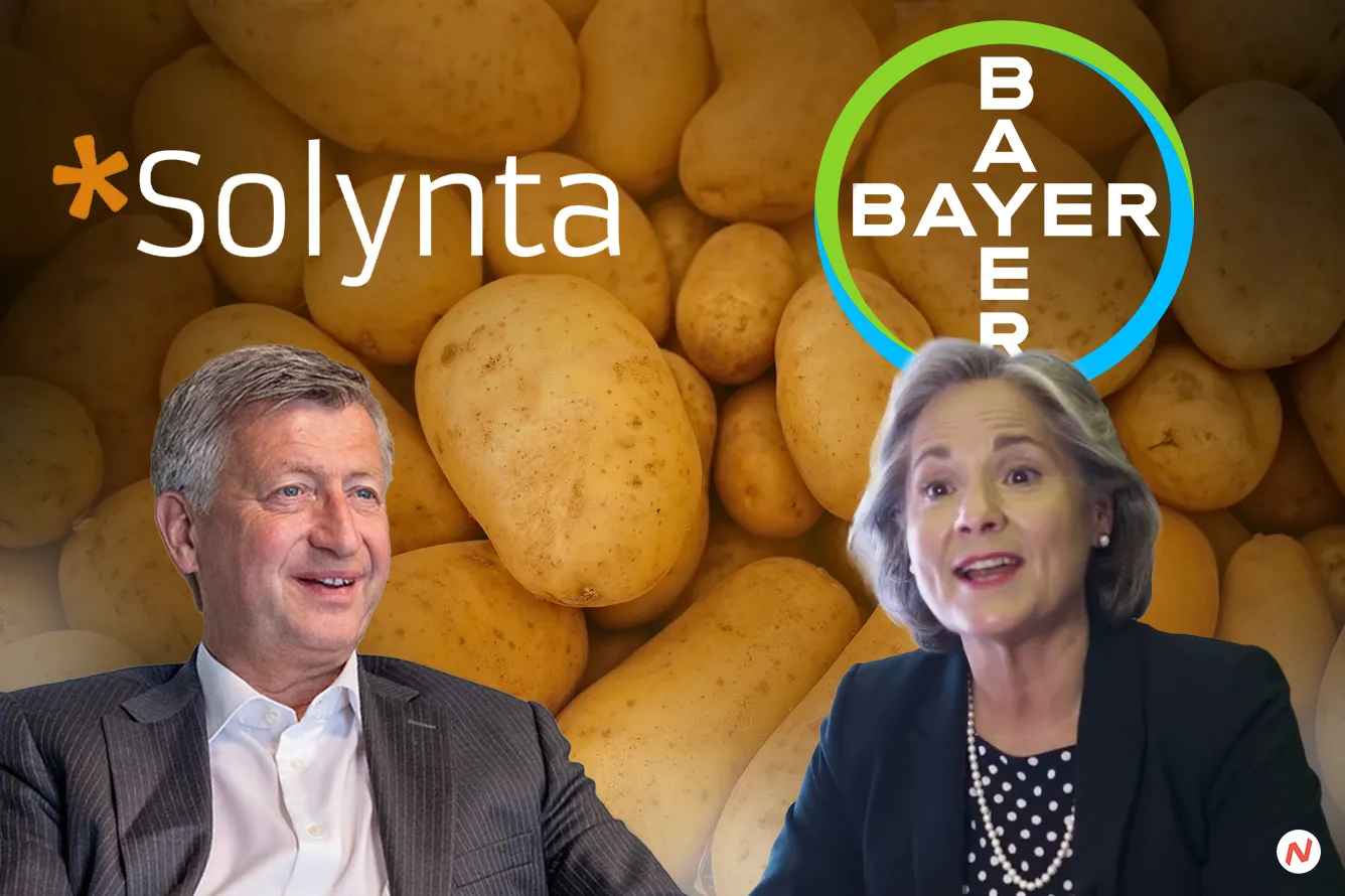 Bayer and Solynta partnership to commercialize true potato seeds for smallholder growers in Kenya and India