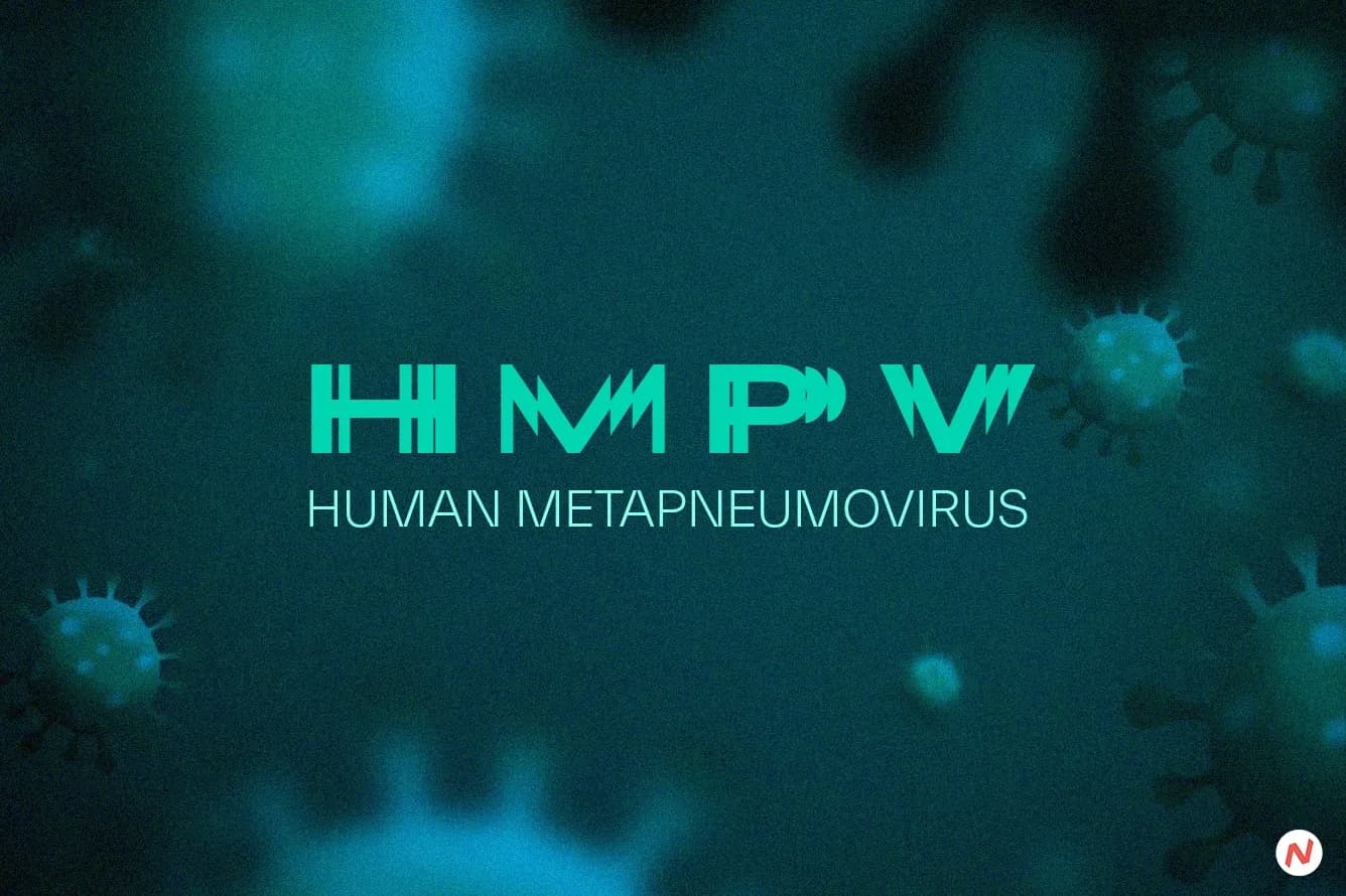 Health officials in Telangana assure readiness for potential Human Metapneumovirus cases with hospital beds and resources.