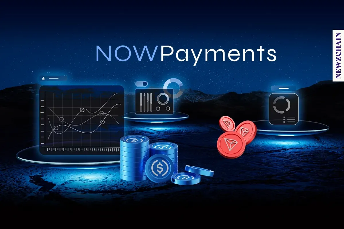 NOWPayments logo and stablecoin payment data chart showing 45% of crypto transactions in stablecoins