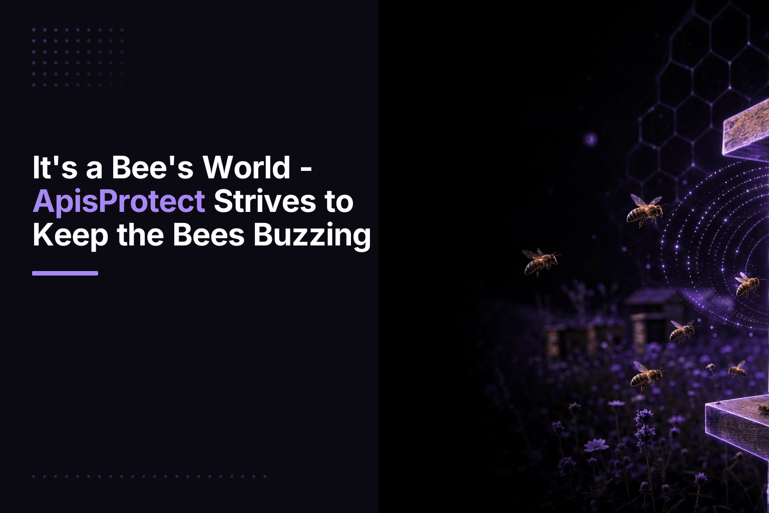 ApisProtect beehive monitoring sensor platform using IoT and AI to track hive temperature, humidity, and sound