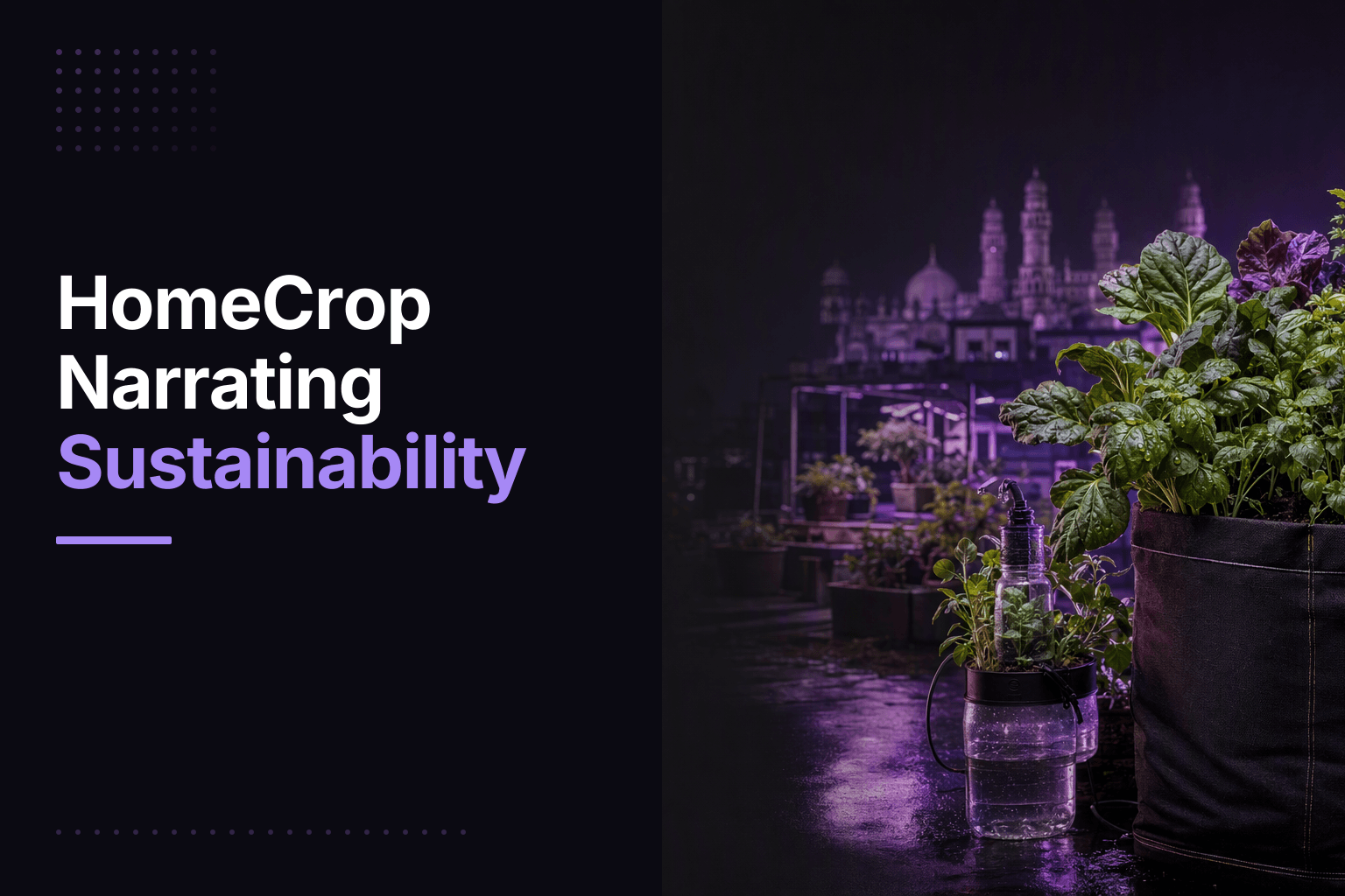 HomeCrop founders Manvitha Chennuru and Krishna Reddy with modular kitchen garden for urban organic farming