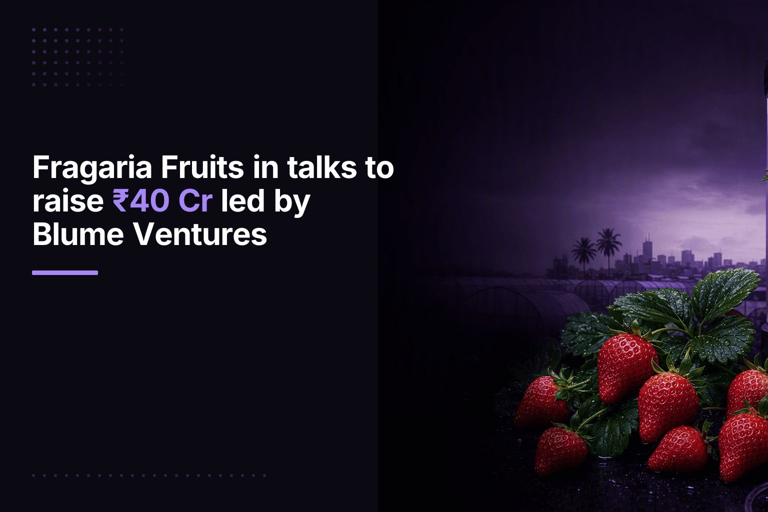 Fragaria Fruits in talks to raise ₹40 Cr led by Blume Ventures