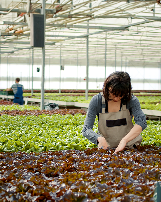 Pachama: Rethinking Our Environmental Menu, One at a Time