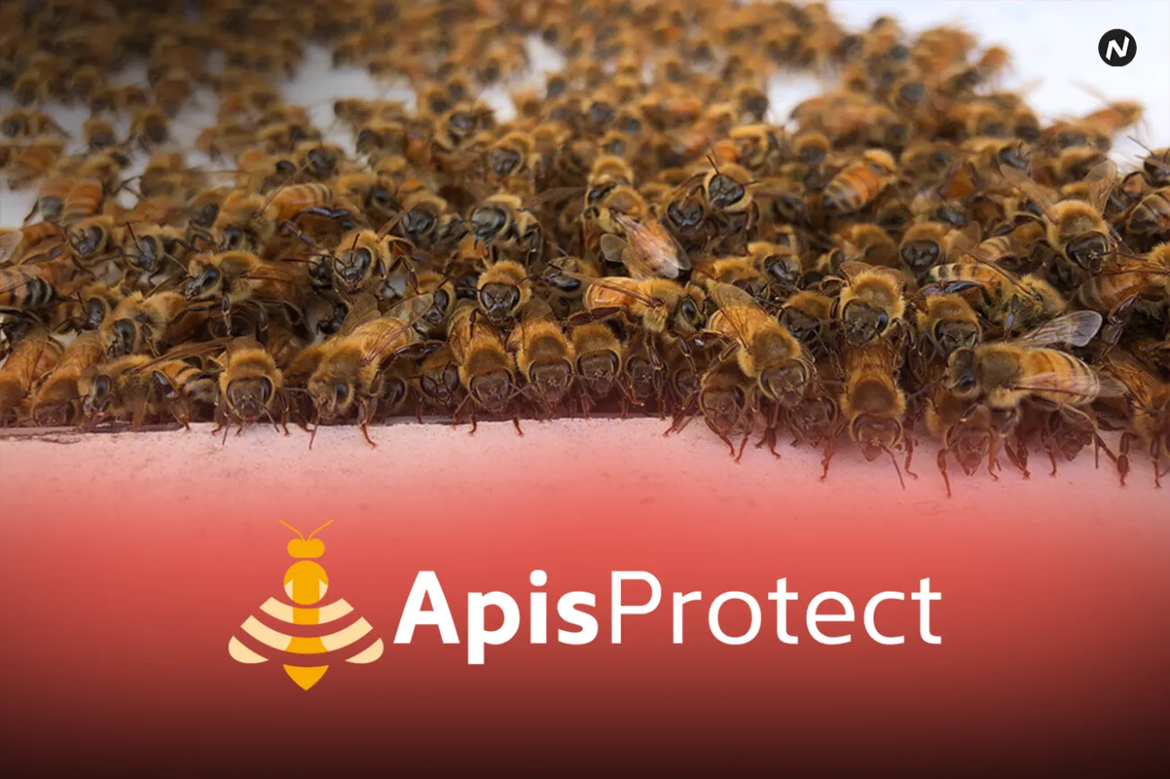 It's a Bee's World - ApisProtect Strives to Keep the Bees Buzzing