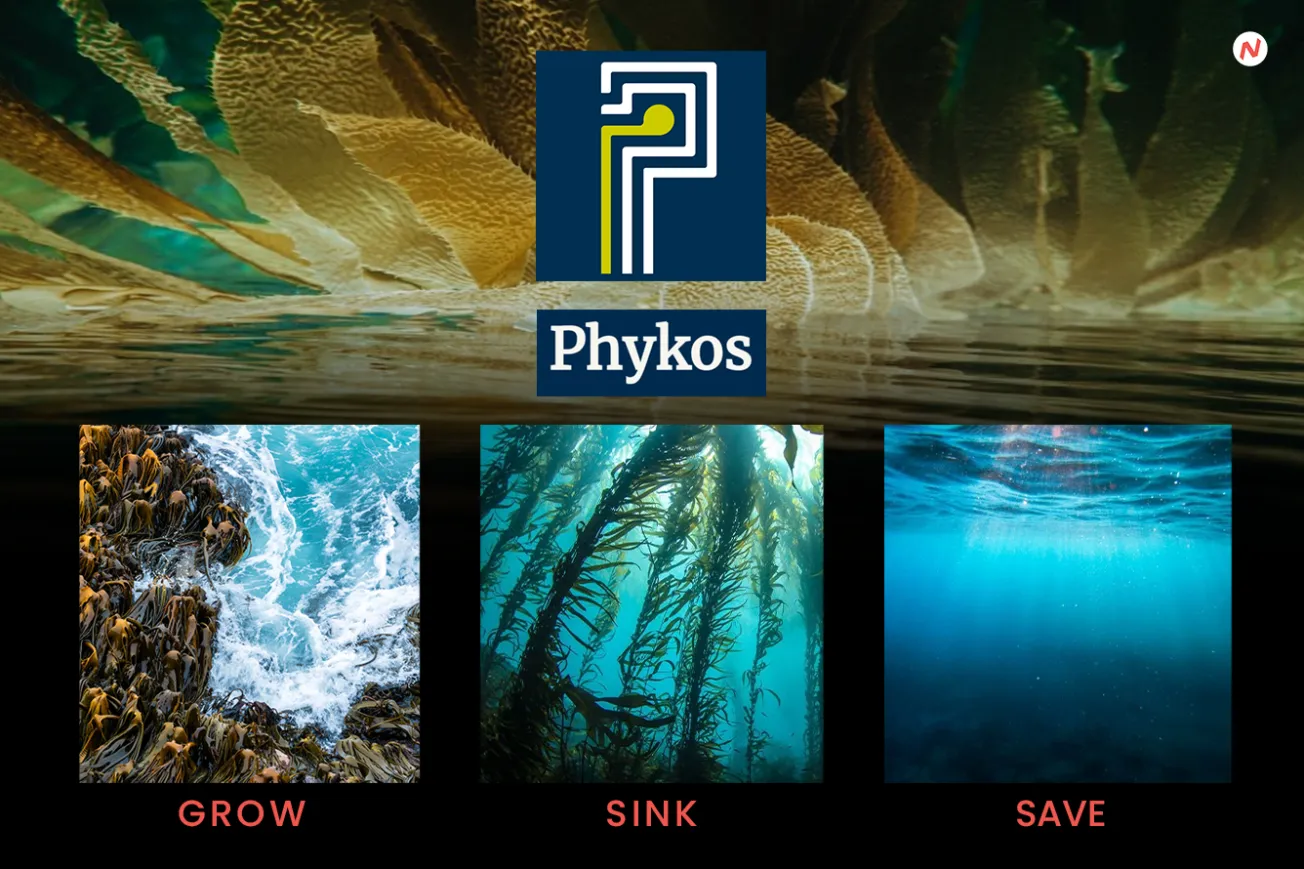 Ocean Carbon Removal-A New Frontier in Climate Solutions with Phykos