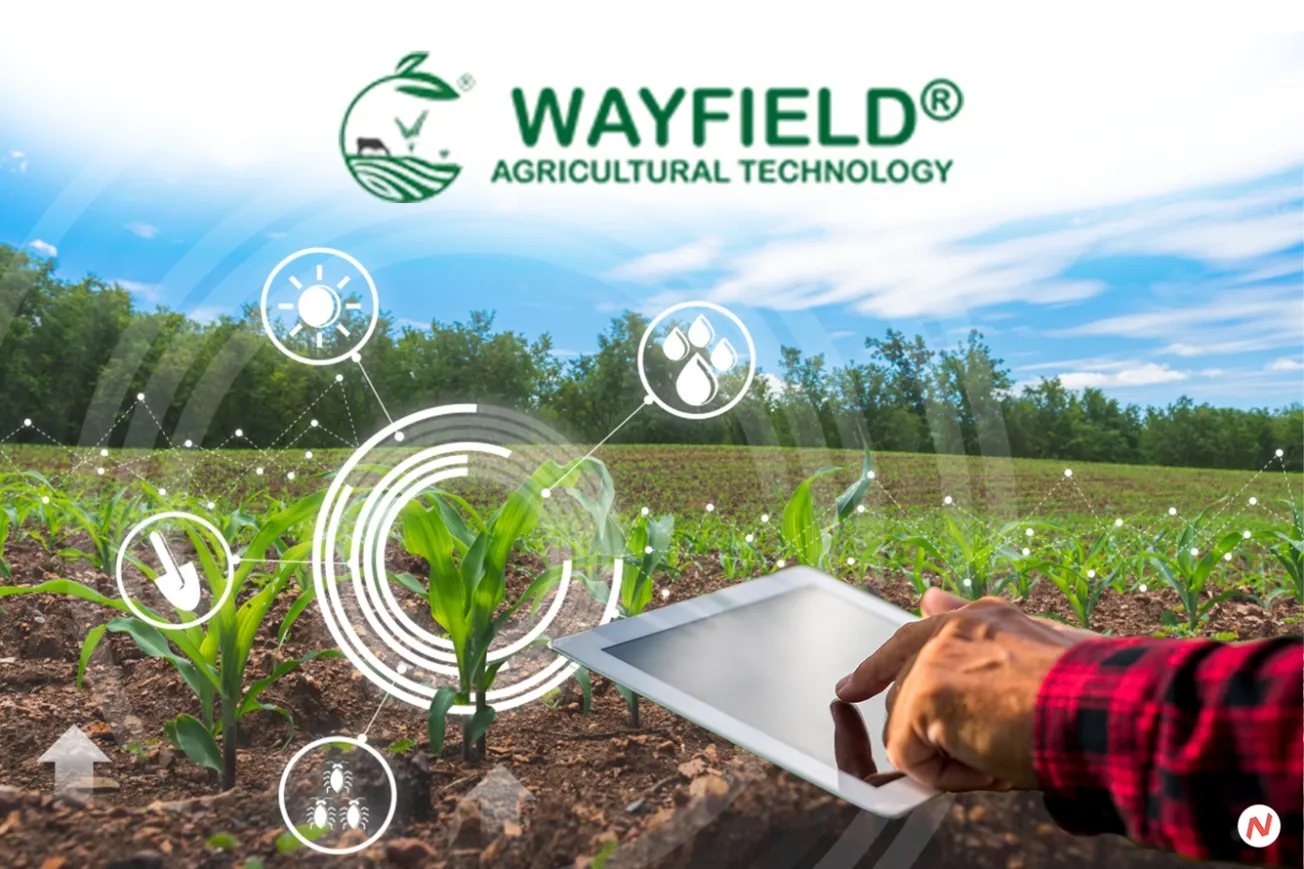 Wayfield's Agricultural Technology is Changing Climate-Resilient Agriculture in India