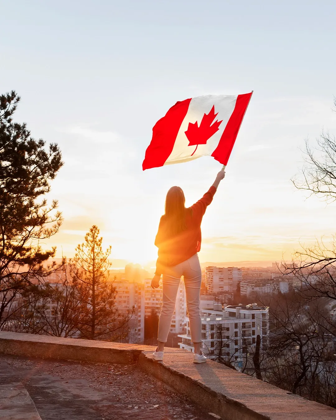 Northern Lights of Innovation: Spotlight on 6 Canadian Startups